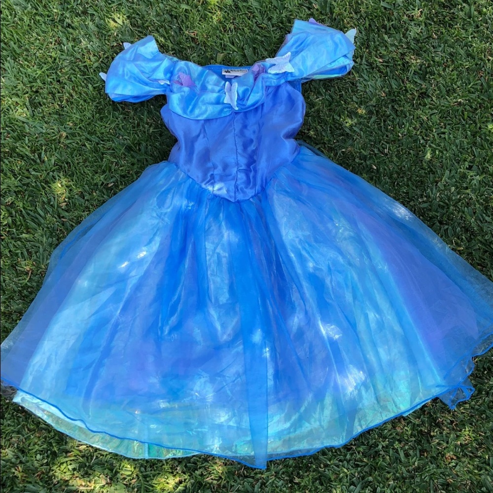 Disney Parks Authentic Cinderella Costume